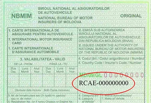 RCA polita